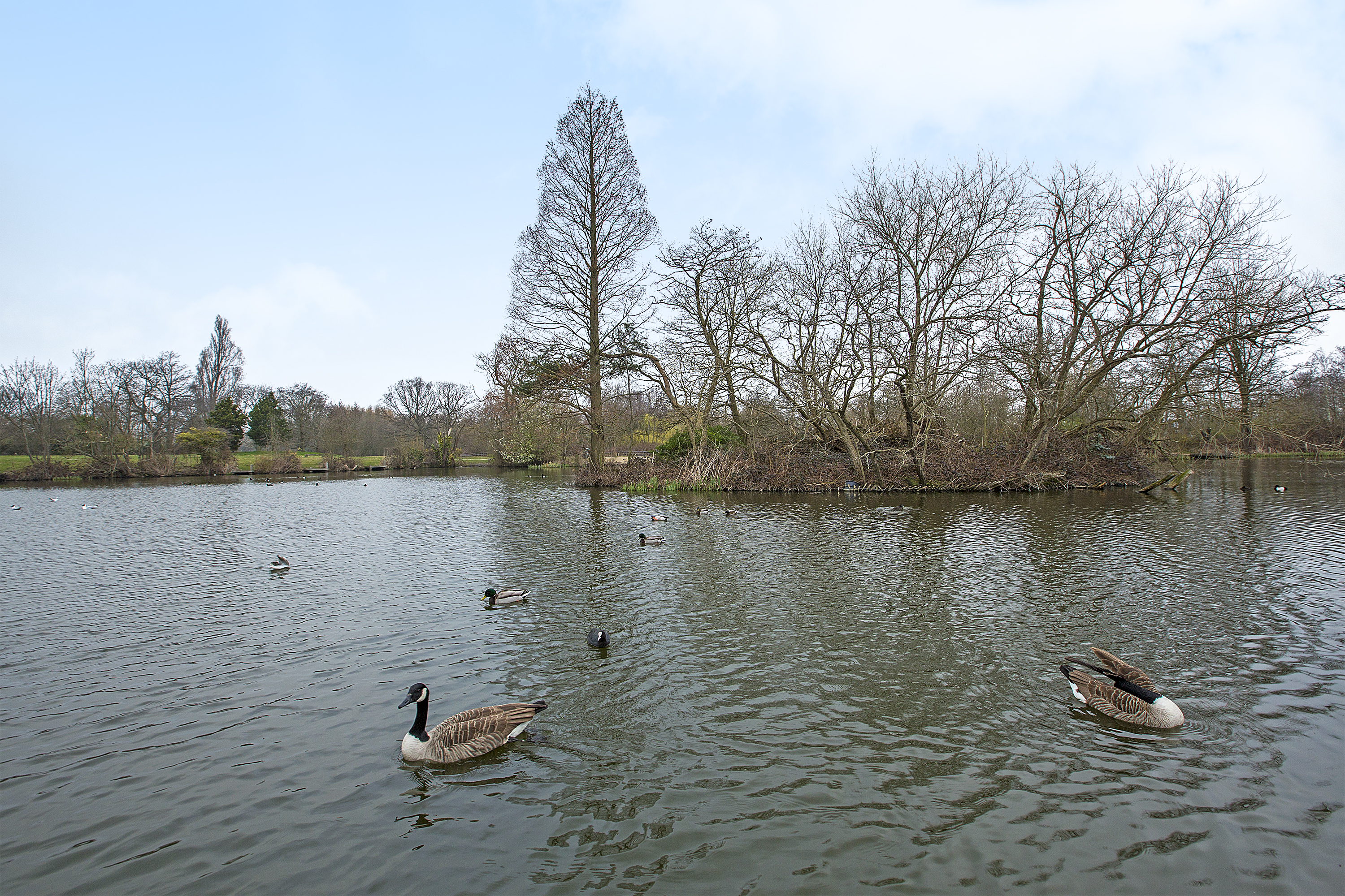 Wandsworth - Kinleigh Folkard & Hayward