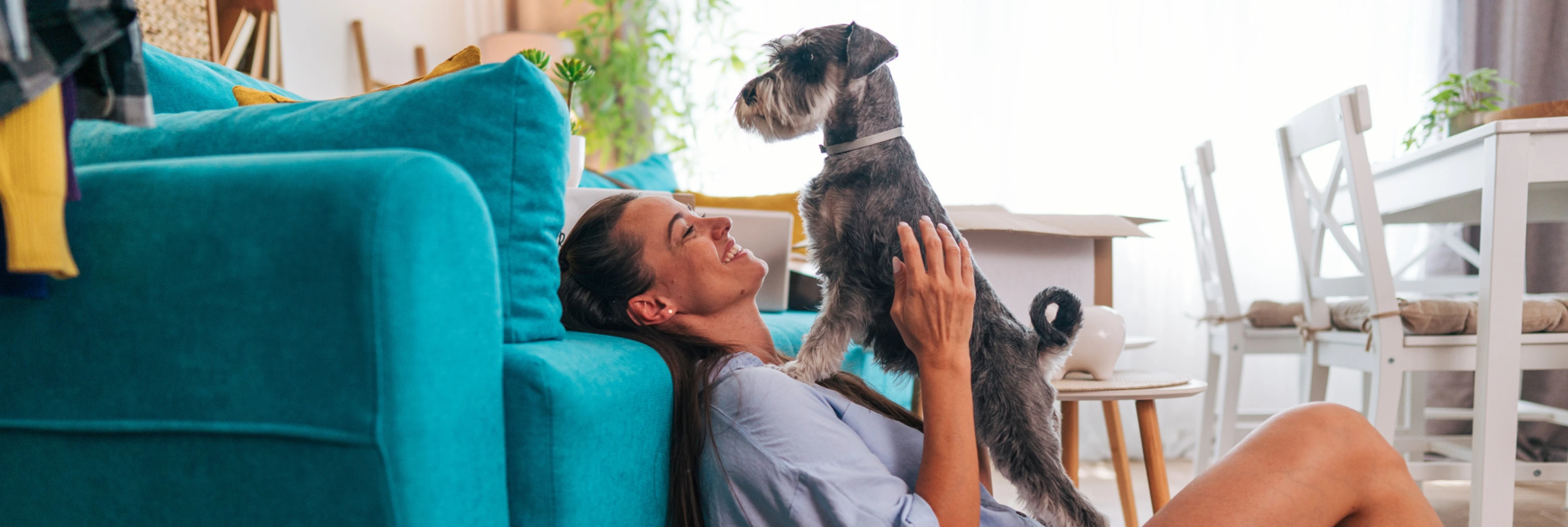 The right to request pets under the Renters’ Rights Act - Kinleigh Folkard & Hayward