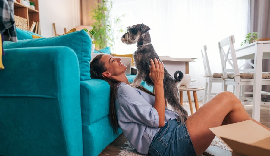 The right to request pets under the Renters’ Rights Act - Kinleigh Folkard & Hayward