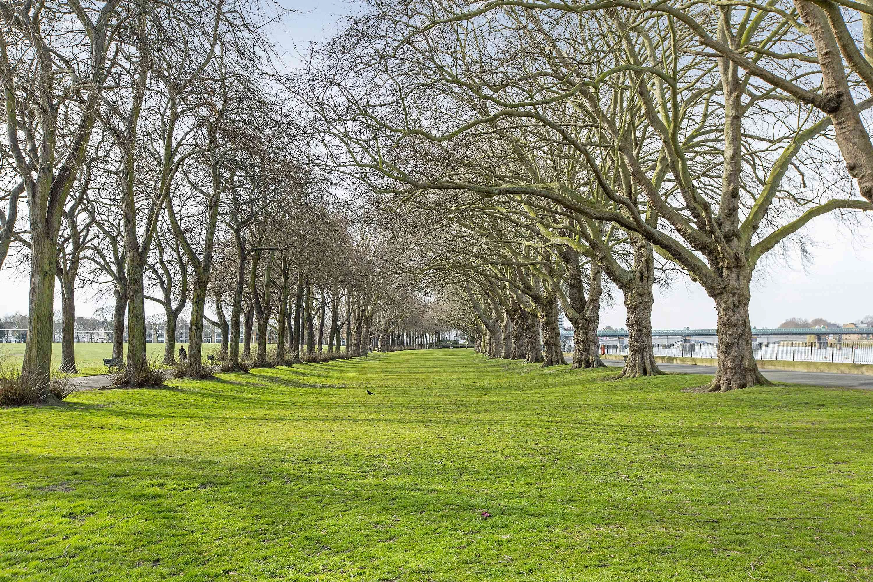 West Putney - Kinleigh Folkard & Hayward