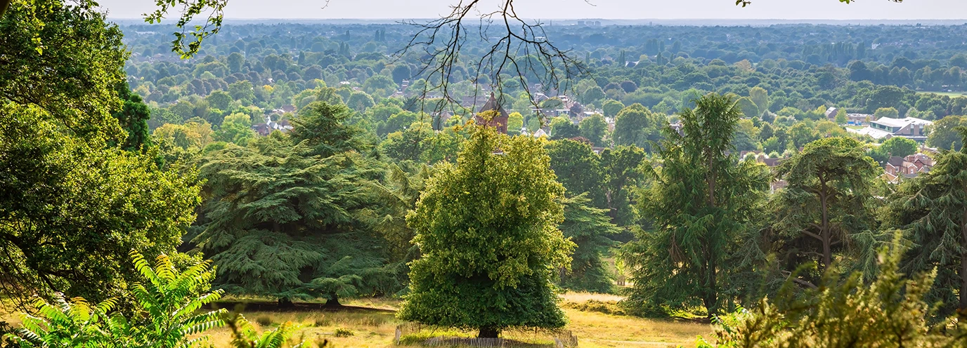 Feel-good things to do in London - Kinleigh Folkard & Hayward