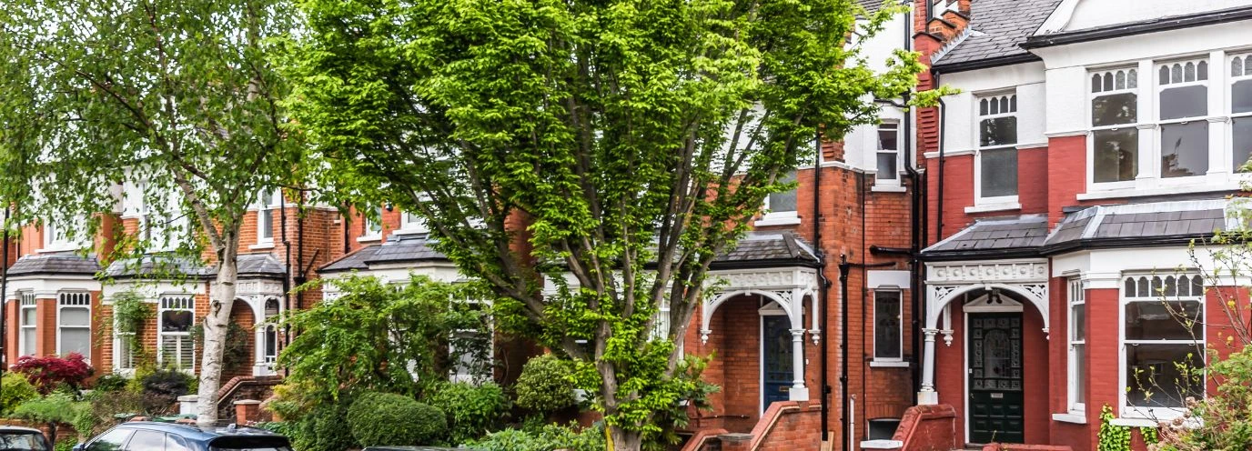 Reign Supreme - Kinleigh Folkard & Hayward