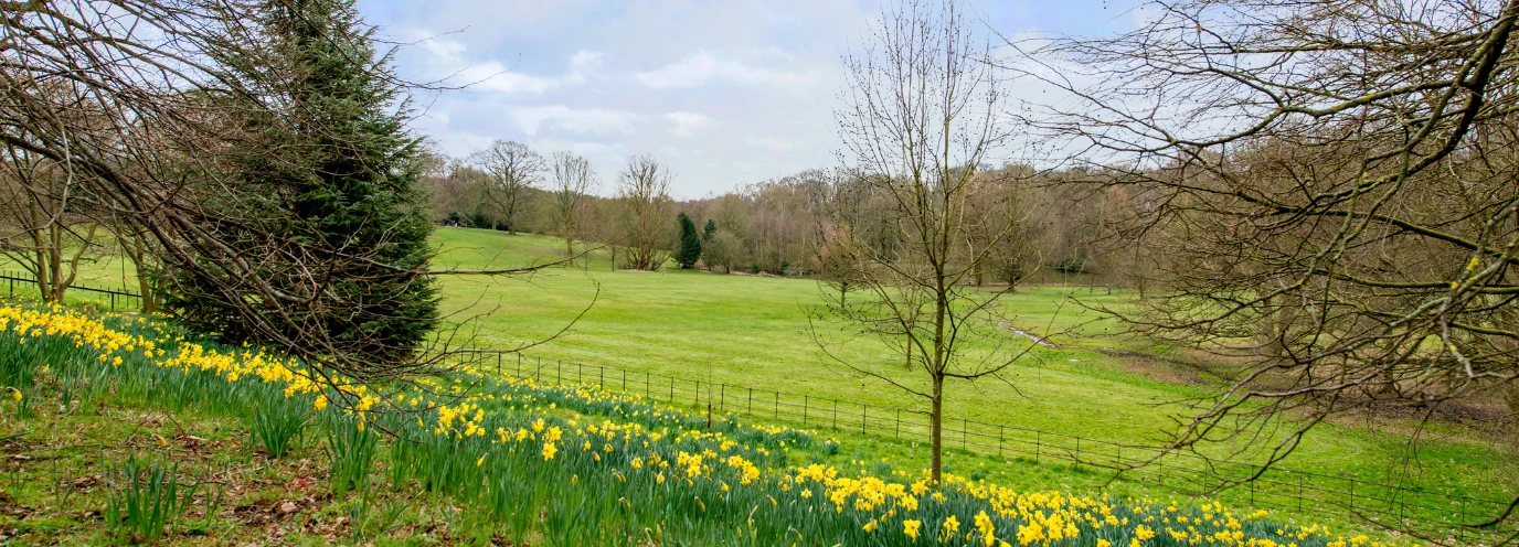 Green shoots - Kinleigh Folkard & Hayward