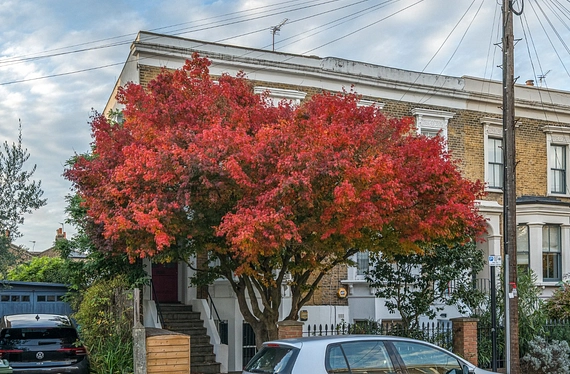 Chaucer Road, London, SE24 - Kinleigh Folkard & Hayward