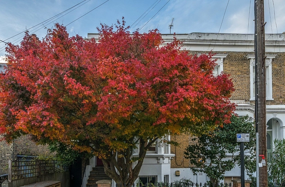 Chaucer Road, Herne Hill, London, SE24 - Kinleigh Folkard & Hayward